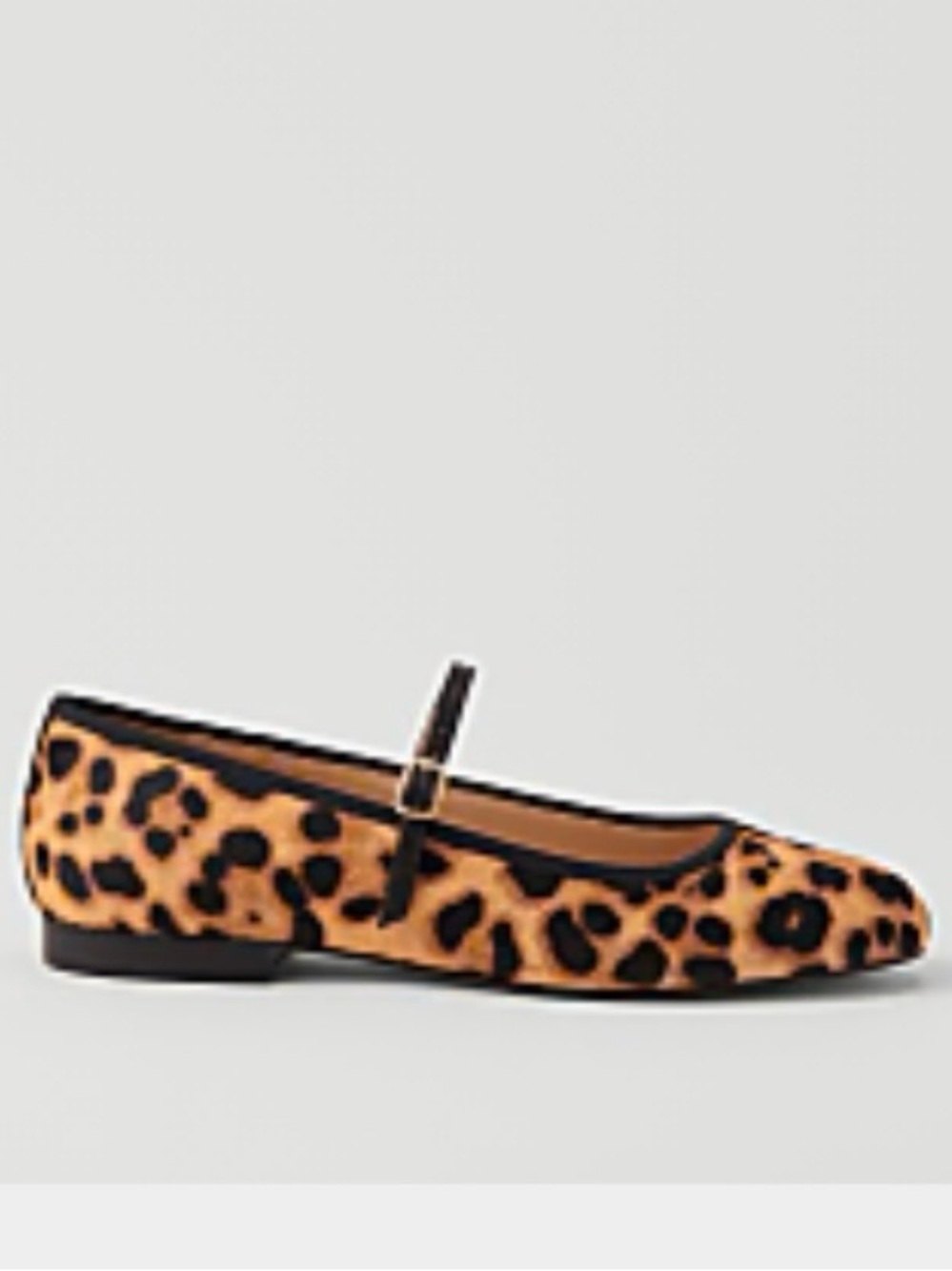 Ann Taylor ballet flats leopard 8.5